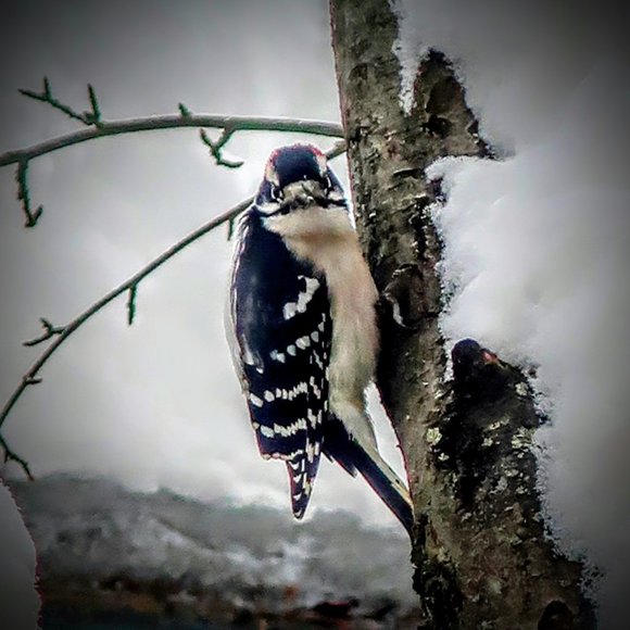 Meet your Posher, Sarah - Picture 4 of 9